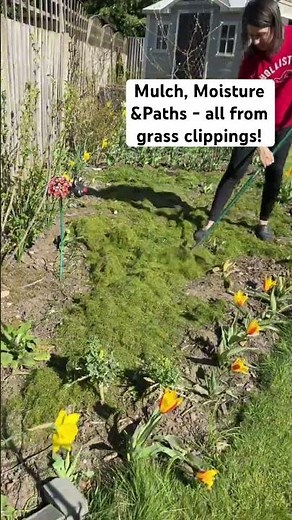 From Mower to Mulch – What I Do With My Grass Clippings!