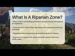 What Is A Riparian Zone? - Ecosystem Essentials