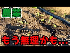 I've reached my limit...