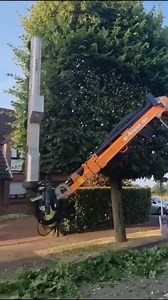 Modern tree pruning technology👀🦾🏃‍♂️🫐🍎❤️ #USA #Travel | VietSoftware International