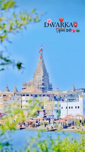 jay dwarkadhish 🤍🦚💖#reels #dwarka #song #jaydwarkadhish #viral #viral #trending #shortvideo #india