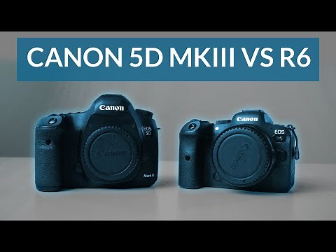 Canon 5D MKIII vs R6 - Which One Should You Buy