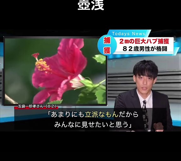 面白いニュース特集：壺浅とブリッヒー