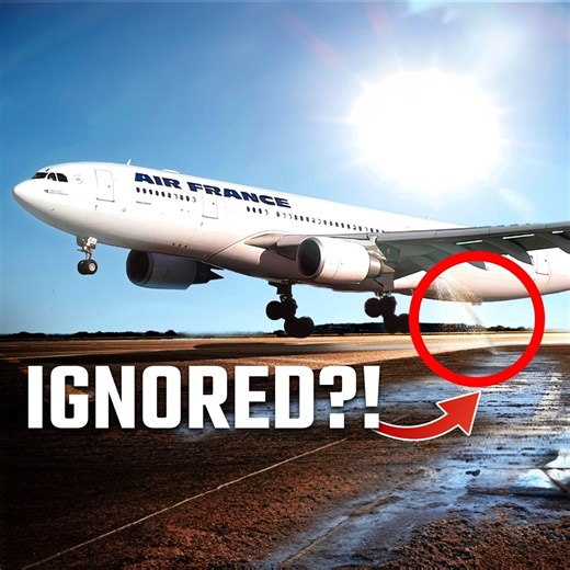 Was Air France Flight 736 Doomed by Pilot Mistakes?