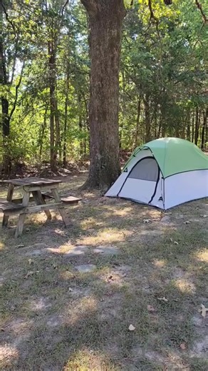 Dreaming of a cozy camp under the fall sky? 🍁⛺️ Our primitive tent sites at Ozark RV Park and Cabins offer the perfect back-to-nature escape — just steps away from the bath house and near the community fire pit for warm nights and s’mores under the stars. Fall is the best time to pitch your tent here — cool air, vibrant colors, and peaceful mornings surrounded by the beauty of the Ozarks. 🌄🔥 Ready to unplug and unwind? 📍 Located at 1022 Park Avenue, Mountain View, AR 72560 📞 Call us at: 870