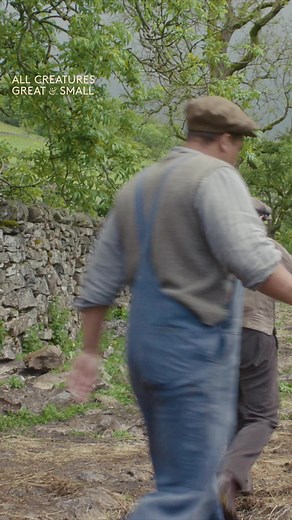 🎥 Step behind the scenes of the Series 6 finale. When a calf went missing, James and Jimmy joined the search but in the end, it was her mother who led the way. 💛 If you missed it, you can catch up now on 5. | All Creatures Great And Small