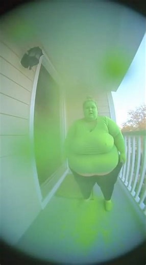 Parcel thief got to the package first