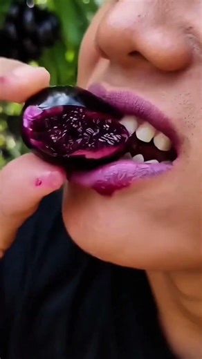 Fresh Jamblang Fruit ASMR | Juicy Black Plum Eating