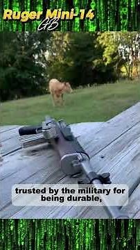 Ruger Mini-14 GB: The Rifle That Doesn’t Look Military — But Is #Shorts