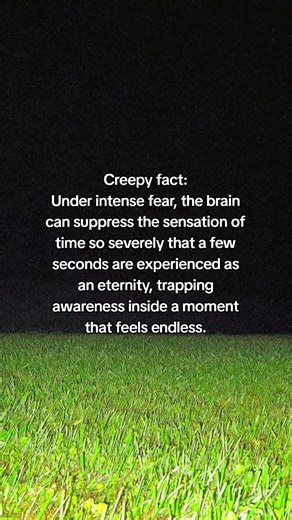 The Brain's Perception of Time Under Fear