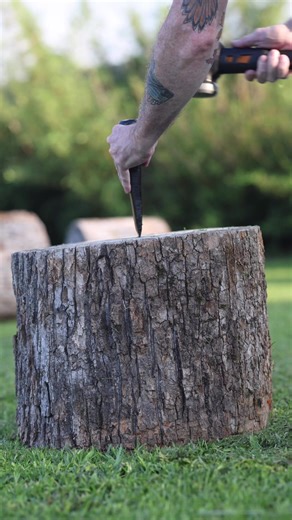 Creative Ways to Spend Federal Holidays