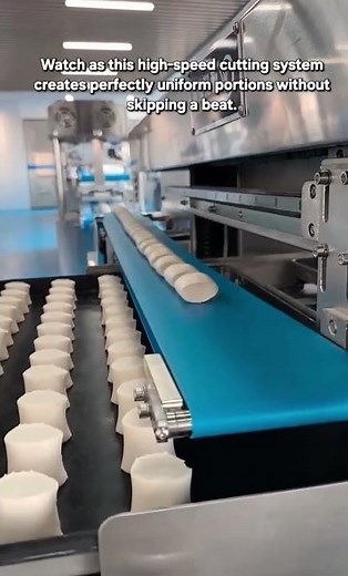Precision in Motion: High-Speed Automated Food Extrusion