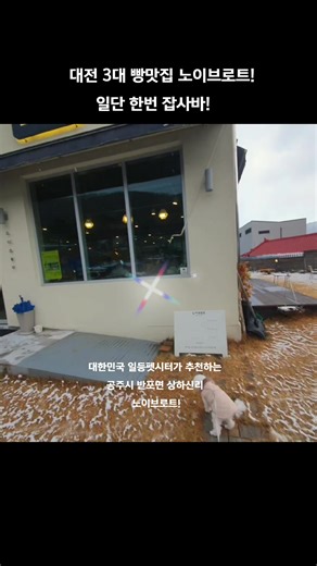 🎋 대전 3대 빵맛집 노이브로트! ➖️ 대한민국 일등펫시터가 추천하는 빵맛집 #대전강아지호텔# #대전펫시팅# #소수견을위한공간# #예약제# #24시간안전한관리# #대전펫시팅# #세종펫시팅# #유성펫시팅# #둔산펫시팅# #상신리코코네# #일대일퍼스널케어# #호미도기# #쿠라의일기# #대전메디컬센터숲# #대한민국일등펫시터# #1985김밥집# #대전복합터미널맛집보배반점# #노이브로트# #사이언스짐#
