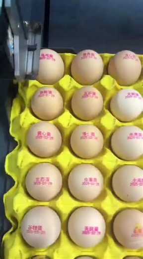 egg batch coding machine #eggbatchcoding #batchcodingmachine #batchcoding #egg #foodpackagingmachine