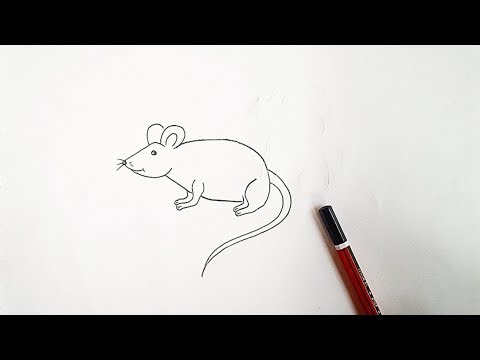 Rat Drawing || How to Draw Rat Step by Step || Mouse Drawing || Easy Rat Drawing..