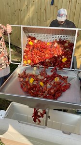 1.7M views · 26K reactions | Mud bug time in the Texas Star Outdoors LLC. Crawfish Cooker!咽 | Girl Gone Grilling | Facebook