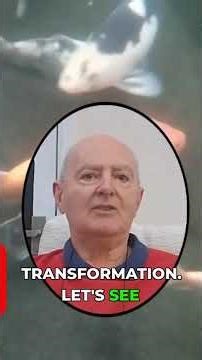 My Epic Koi Challenge: Beat Growth Records & Learn My Secrets!