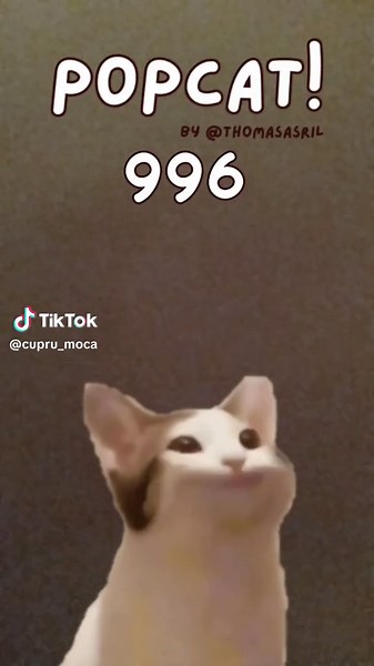 Paul98 pe TikTok