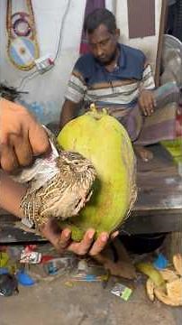 Making a Realistic Bird Nest from Coconut | Amazing Handmade Craft #amazing