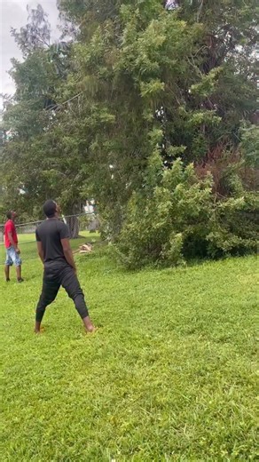 Champion BrooksWebster on Instagram: "Epic Iguana Catch Champion The Iguana King 👑 And His Disciple #championtheiguanaking #florida #wildlife #outdoors #naturephotography #nature #animalphotography #iguanahunting #invasivespecies #hunting #iguana #explore #express IguanaHunting #IguanaHunt #IguanaHunter #Iguanas #FloridaWildlife #PestControl #OutdoorLife #Reels #ExplorePage #videoreelsシ #videoviral"