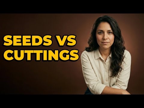 Do Cacao Plants Grow From Seeds Or Cuttings?