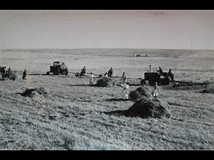 70年代农业生产