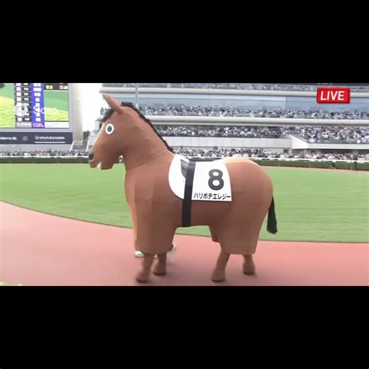 ハリボテエレジーが登場する競馬の魅力