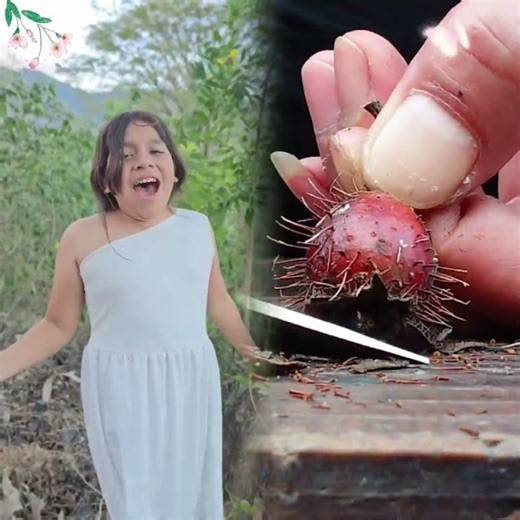 Little Frog EXPLODED 😱 Lospinguinitosshort #shorts #viralvideo