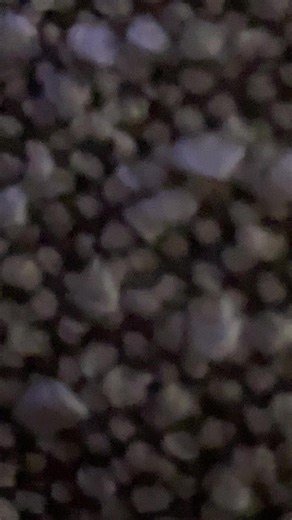 Discover the Secrets of Evil Timmy