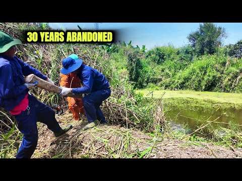 Rescuing a FISH POND Abandoned for 30 YEARS — Swallowed by a JUNGLE