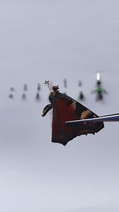 ✨ possibilities ✨ My dears, I have news - we’ve opened a shop with Fly merch. This is very strange and unusual for me, and I can’t believe my hobby has come to this point. Thank you for your support and love! Fly loves you! 🪰💕✨ link in pinned comment and in bio 🥳 | Mimimimzy