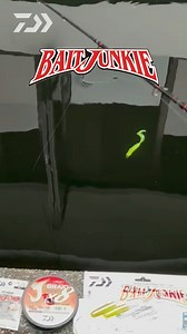 6K views · 83 reactions | If the swimming action of the Bait Junkie...