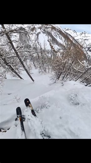 SnowBrains on Instagram: "Tree Skiing So Steep It Was Sluffing Wednesday in @serrechevalier, France! The upper part of this run was wildly steep and I kept having to escape my sluff in the trees which was just about s first for me. This video is of the lower part of the run that was a bit less steep but held amazing snow period check out the huge Cliff I ended up on top of at the end... The escape route was pretty tricky. Merci, la France! 🏄‍♂️ @miles_clark 🎿 @meierskis 🧥 @elevenate 🧤 @hestr