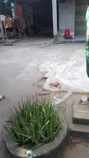 Shipper và Những Vấn Đề Kiểm Hàng Hóa