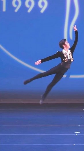 FANTASTIC Don Quixote