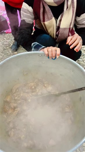 Picnic Fun with Friends and Family