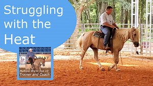 9.4K views · 427 reactions | This is Trigger's first summer in the south and he is having trouble with the heat. I have had to make adjustments to his training program because of that. | Tim Anderson Horse Training | Facebook