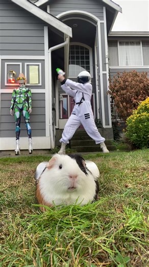 Astronaut Costume Ideas for Halloween 2022