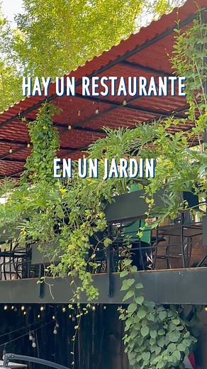 Entre hojas, risas y buen café… aquí los días empiezan bonito. 🌿☕ 📌 Calle Sta. Mónica 1010, La Normal, 44200 Guadalajara, Jal. ⏰ Visítanos todos los días de 8 am a 1 pm. | Terraza Angelo