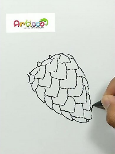 DRAWING PINE CONE