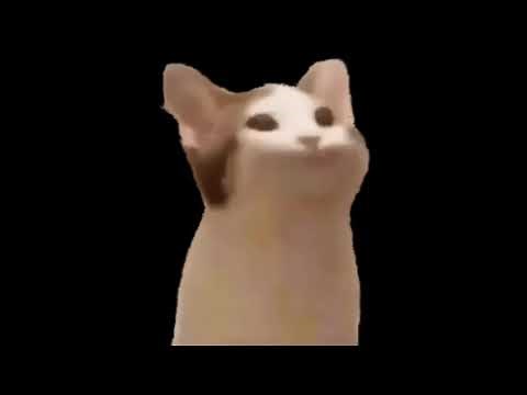 Gato Pop/ Pop Cat (Sem Background e Com Som)