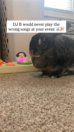 Mystery Book Series Detective B🐰🔍 on Instagram: "Would you hire her? 👀 —— My bunnies have their very own mystery book series! If you love DJ B, you’ll love Cases 002 & 003 books specifically because DJ B makes a cameo in both! 🎉 📚Comment BOOK to check it out👇🏼"