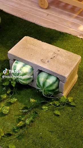 Idées de jardin créatives pour un espace verdoyant