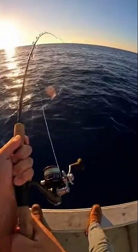 Monster Marlin Strikes & Caught on GoPro POV! Epic Big Game Fishing Moment