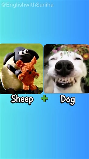 Literal VS Reality English Compound Words