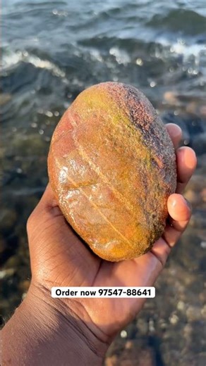 Original Narmada Shivlingam For Home Pooja Order Now 97547-88641 All India Delivery 🚚📦