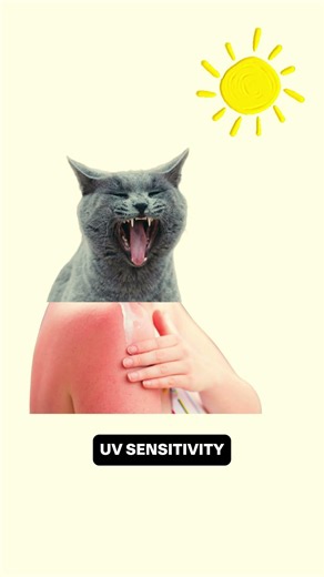 Topical Isotretinoin as explained by cats