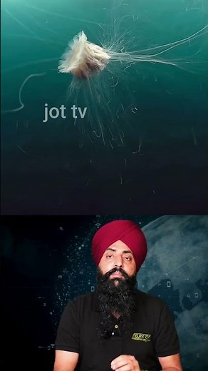 Deep Sea Wonders: Unveiling the Secrets of the Ocean's Depths #DeepWaterLife #OceanExploration