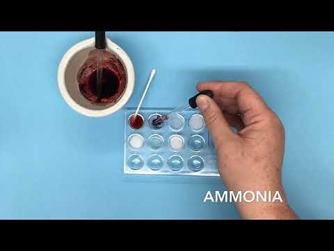 Cochineal Insect Chemistry