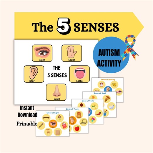 The 5 Senses Learning Activities: Autism & Special Education Printable PDF Download Early Learners Colorful Digital Worksheet 5 Sentidos - Etsy